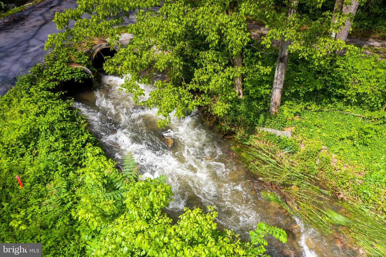 Gooney Manor Loop - Photo 1