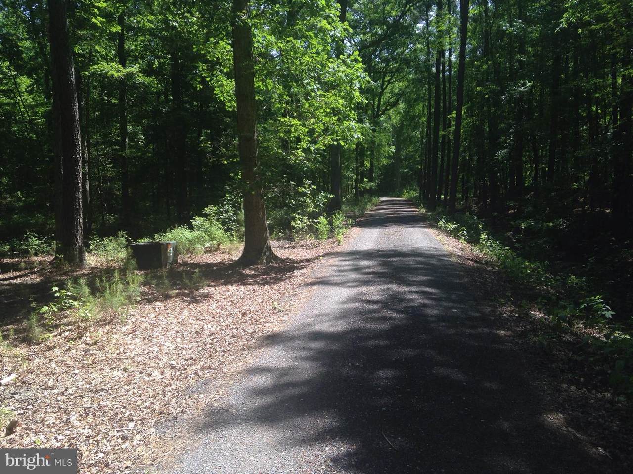 Unionville Road - Photo 1