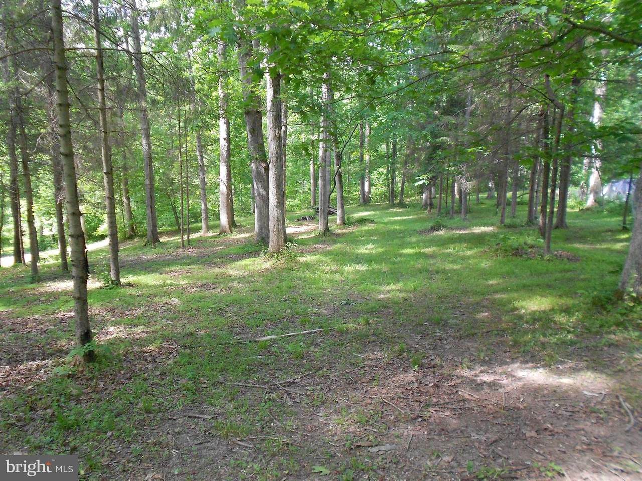 Lot #3 Carr Hill Road - Photo 1