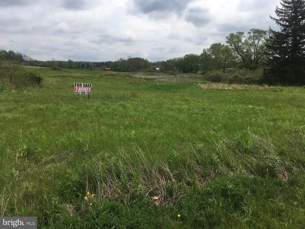 Lot 6 Pender Road - Photo 1