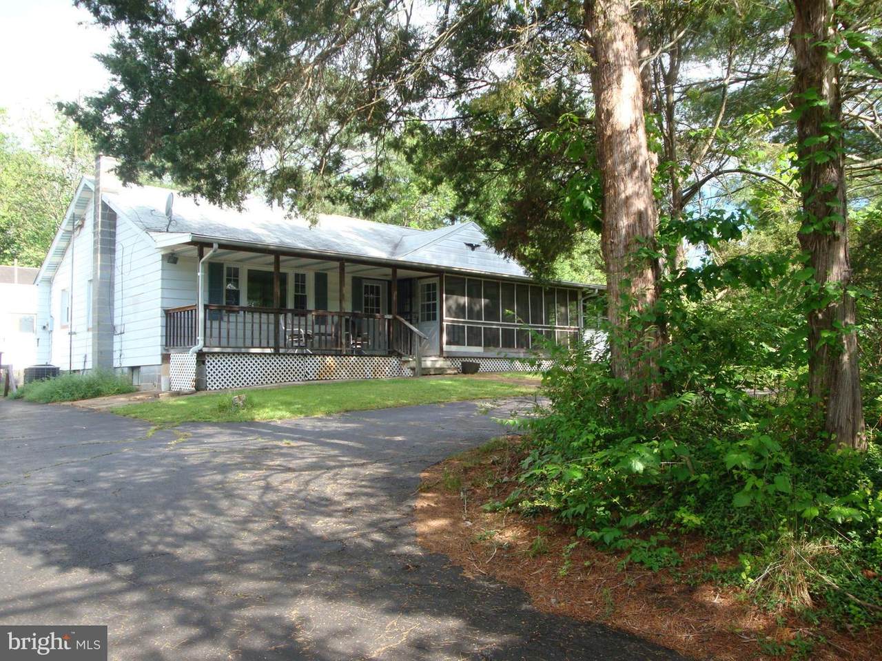 10547 Pineview Road - Photo 1