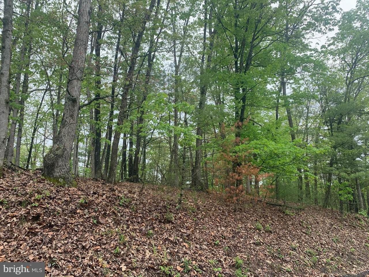 TBD Moccasin Way - Photo 1