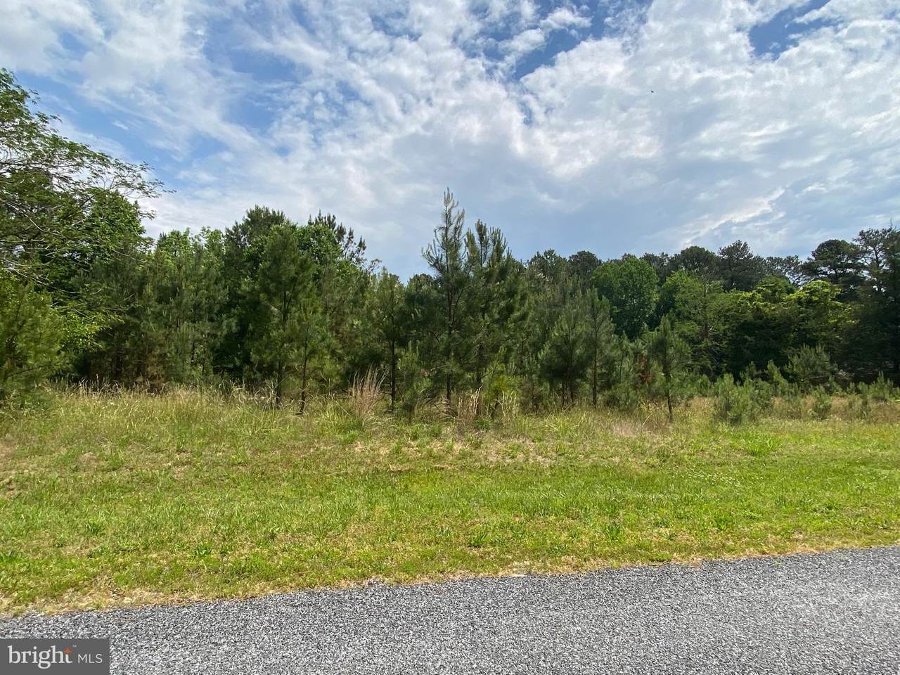 Lot 4 Orchard Rd - Photo 1