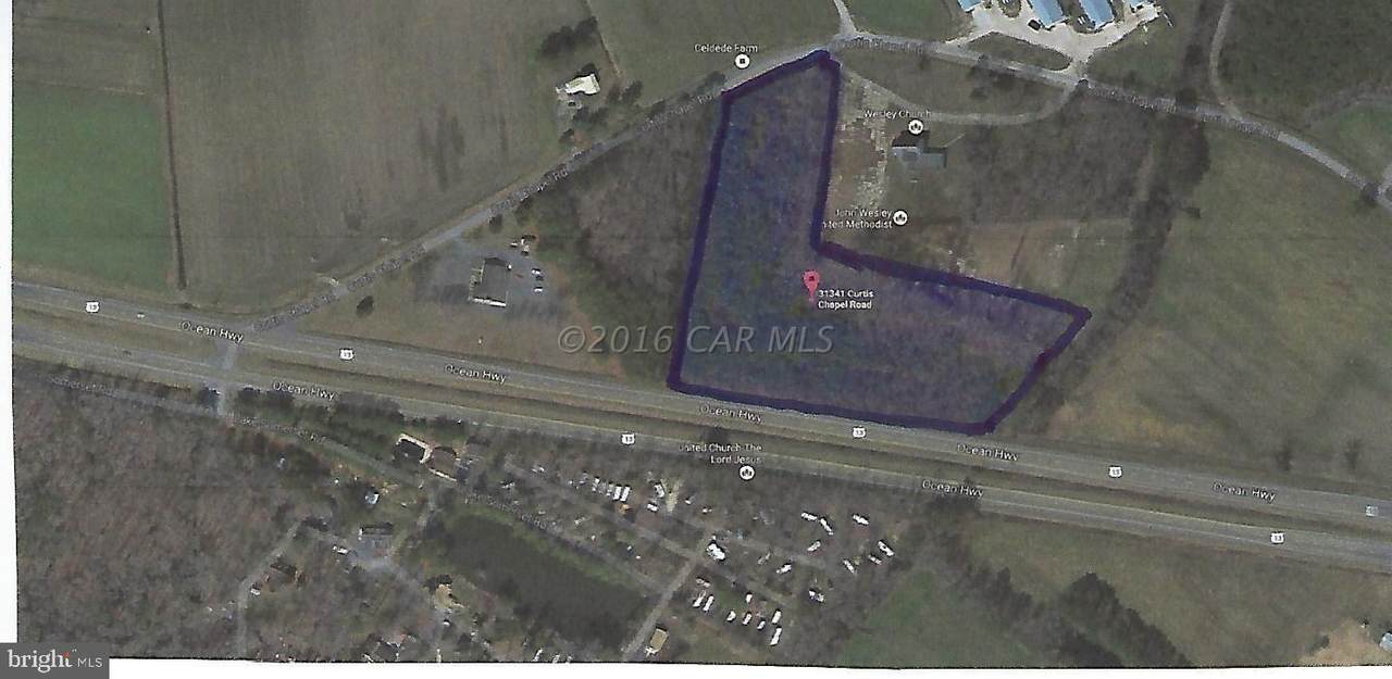 31341 Curtis Chapel Road - Photo 1