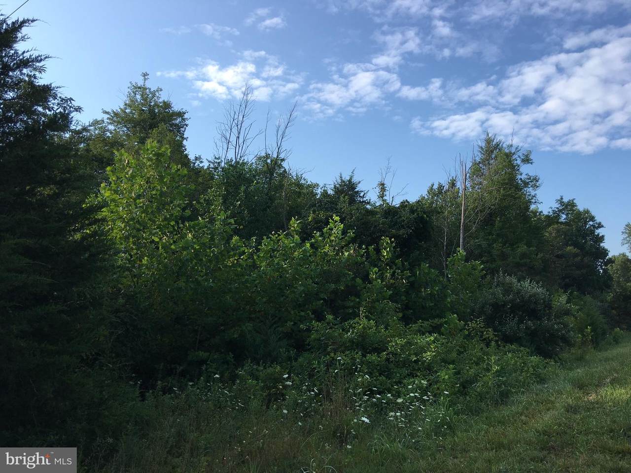 Eggbornsville - Photo 1
