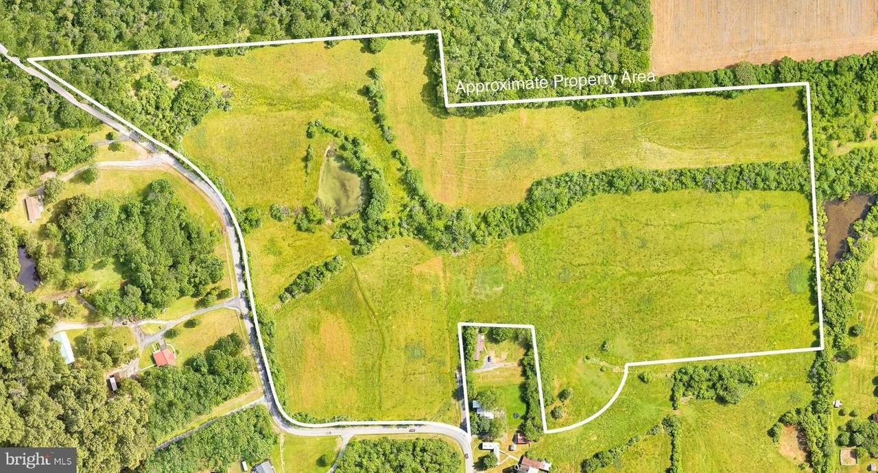 30 AC Lot Butlers Chapel Road - Photo 1
