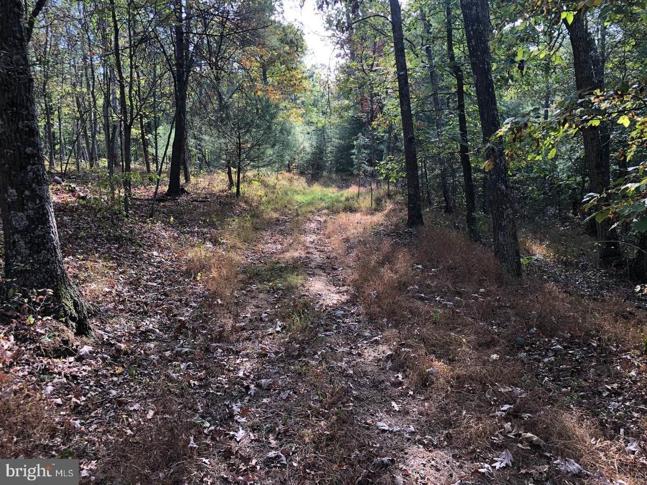 Heartwood Ln - Photo 1