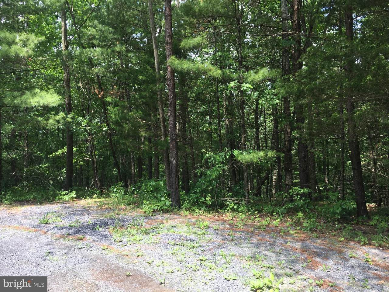 Fawn Drive - Photo 1