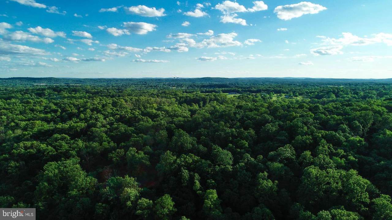 1823 Gravel Pike - Photo 1