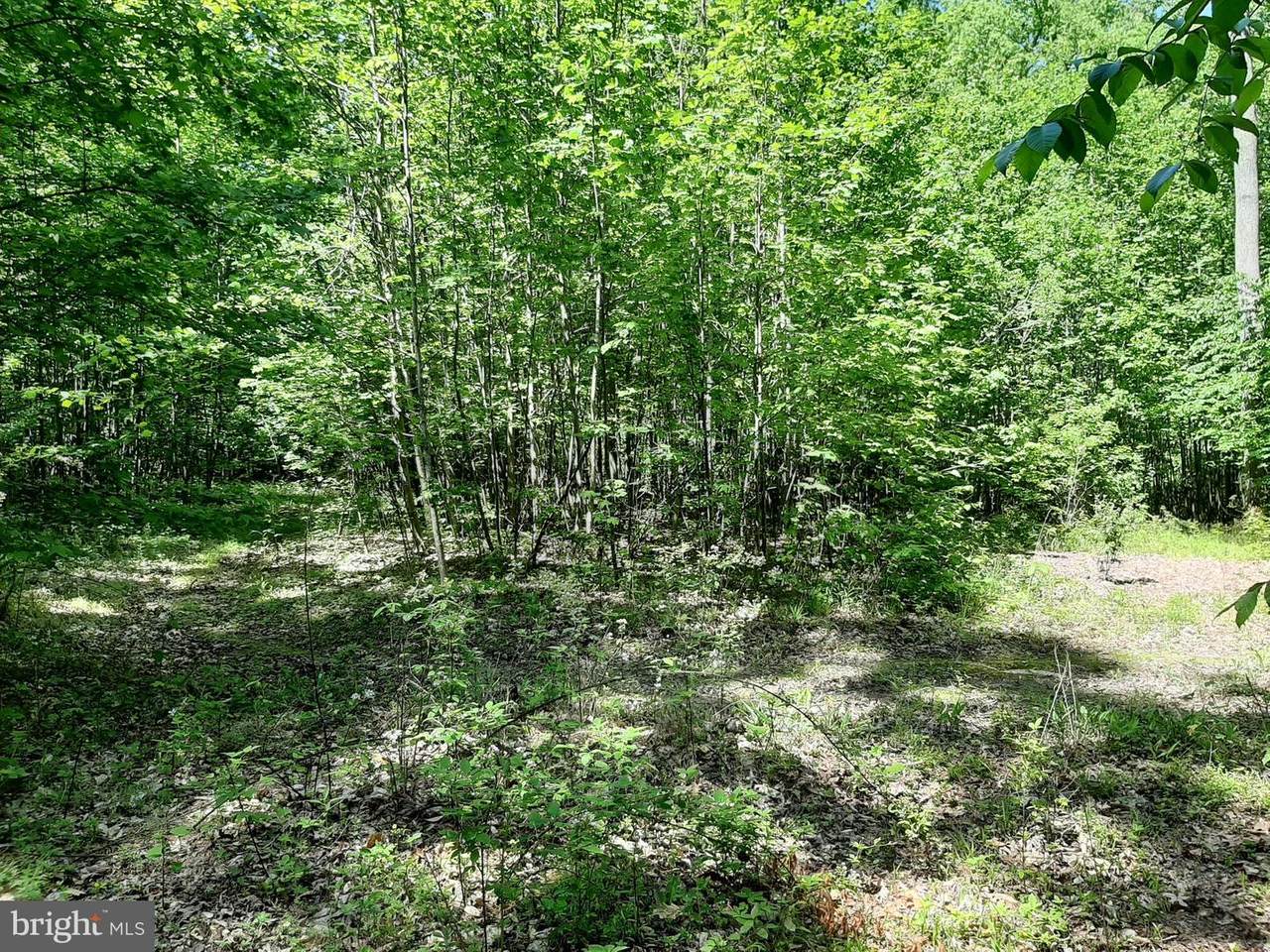 Deep Run Mill - Photo 1