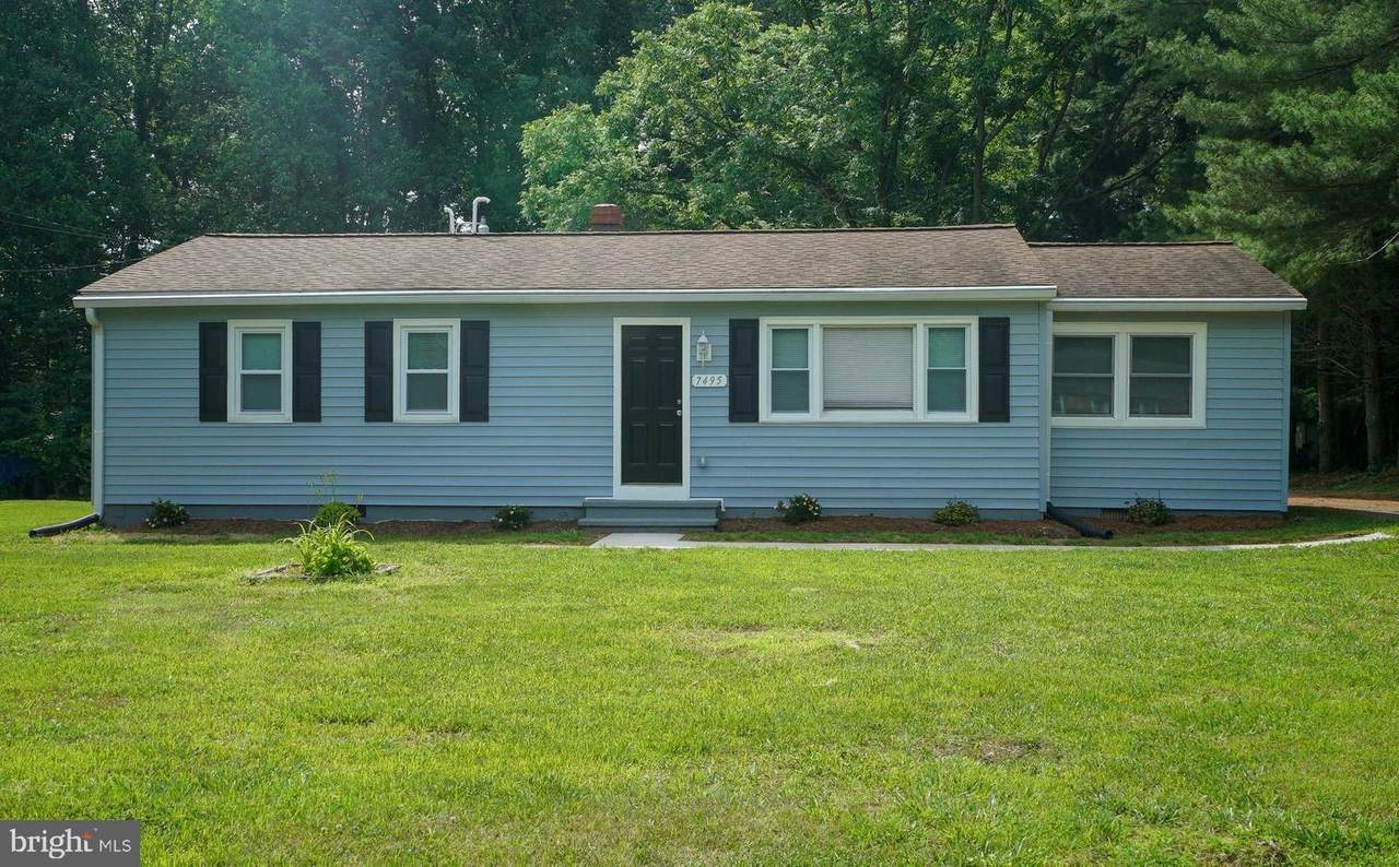 7495 Sunburst Avenue - Photo 1