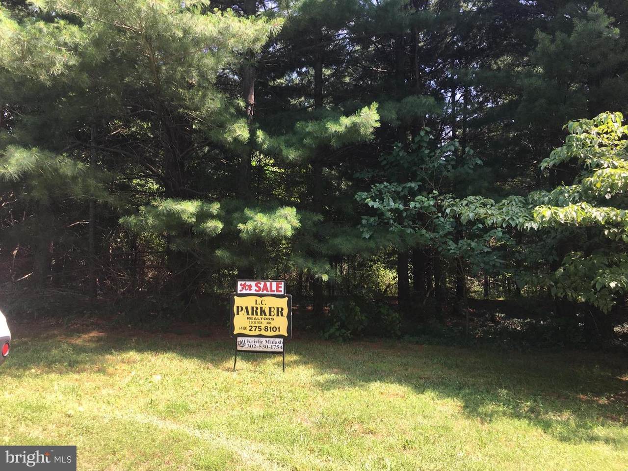 154 Murray Road - Photo 1