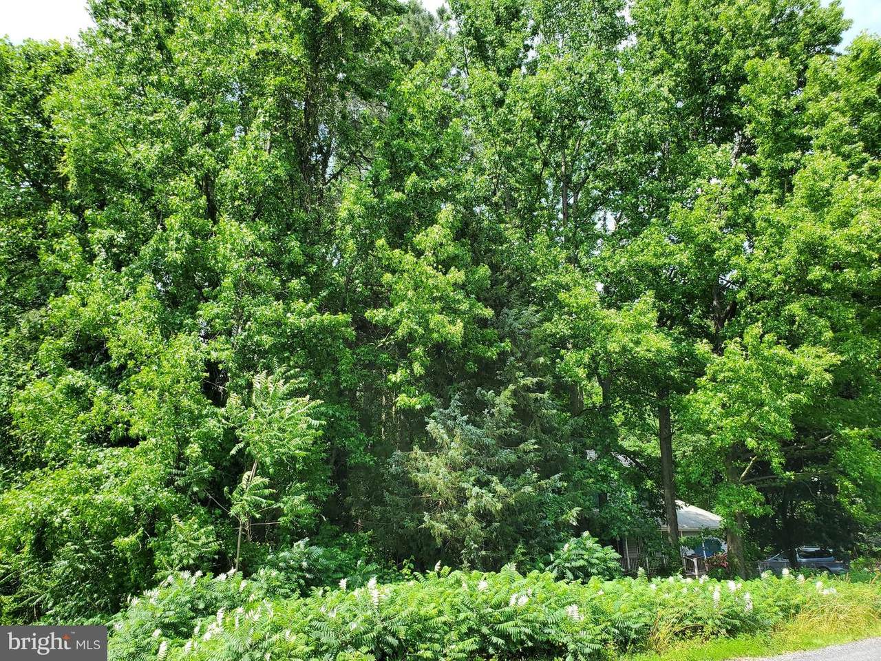 Lot 19 Azure Dr - Photo 1