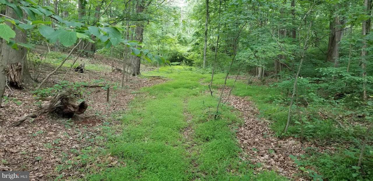 Oak Ridge Lane Lot #31 - Photo 1
