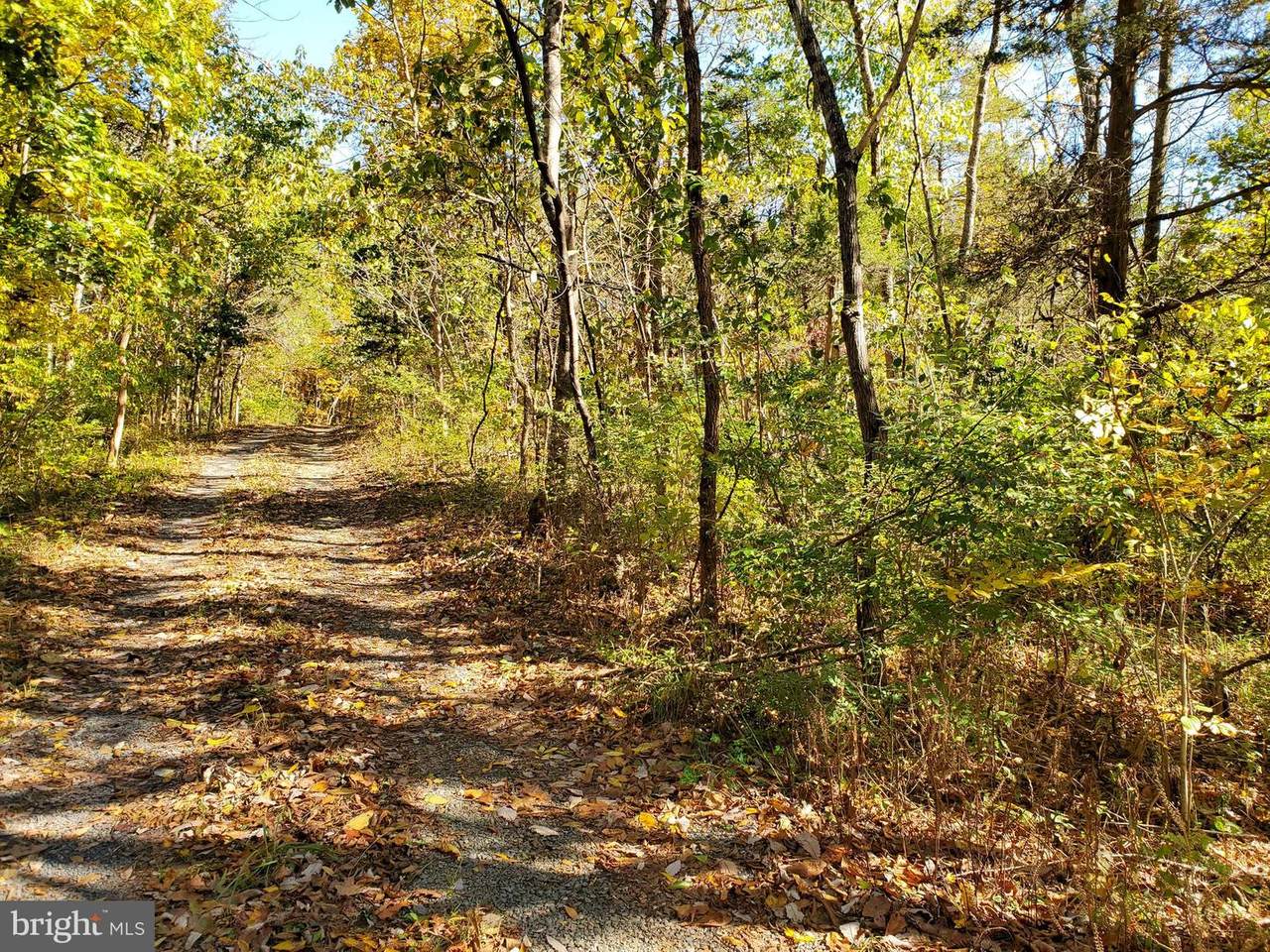 Red Hawk/Woods Way - Photo 1