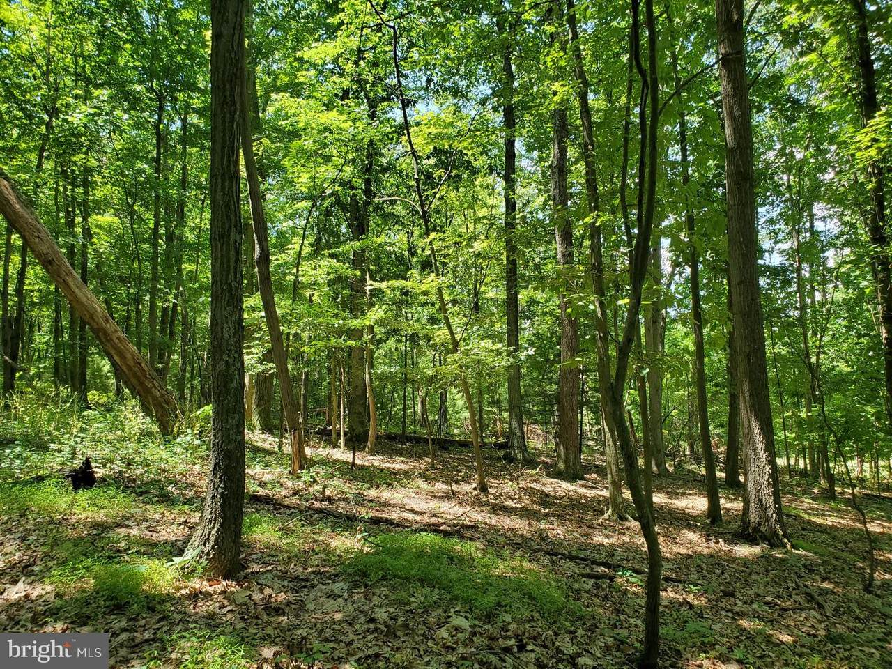LOT #426 Linton Hill Road - Photo 1
