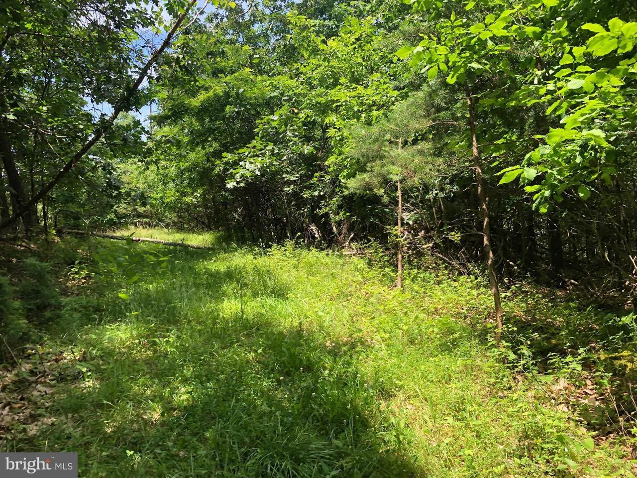 Baker Hollow - Photo 1