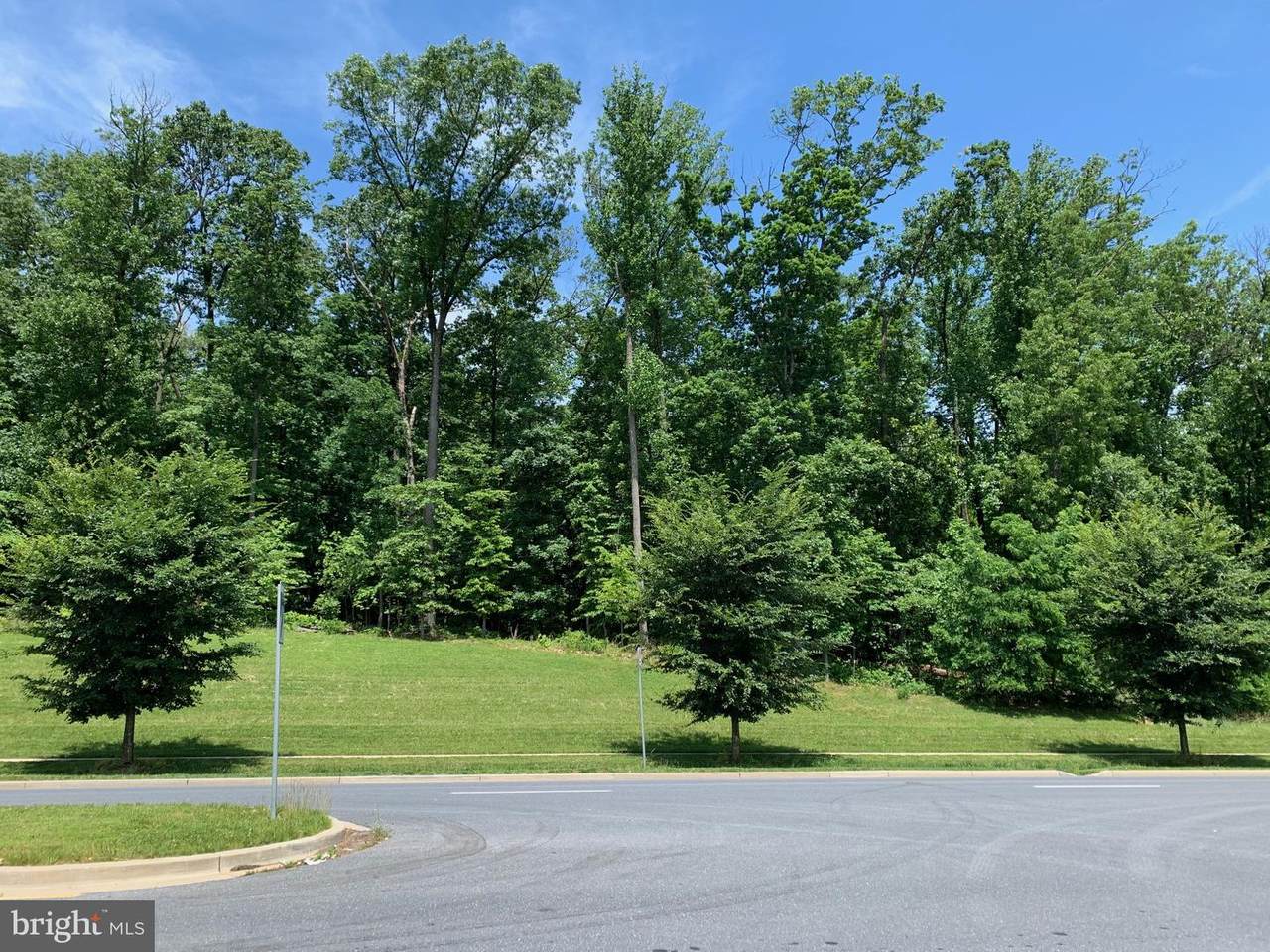 22709 Birchcrest Lane - Photo 1