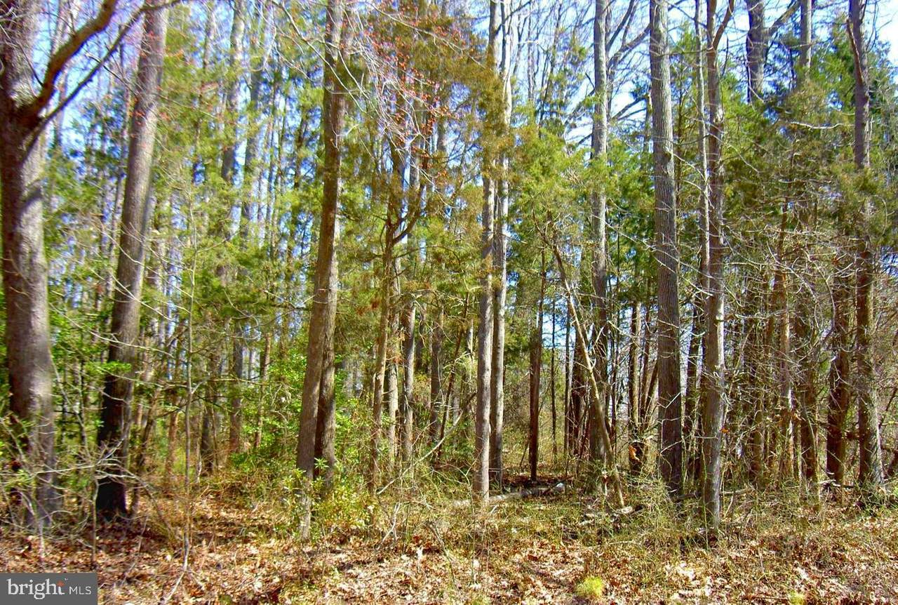 Lot 17 Rolando - Photo 1