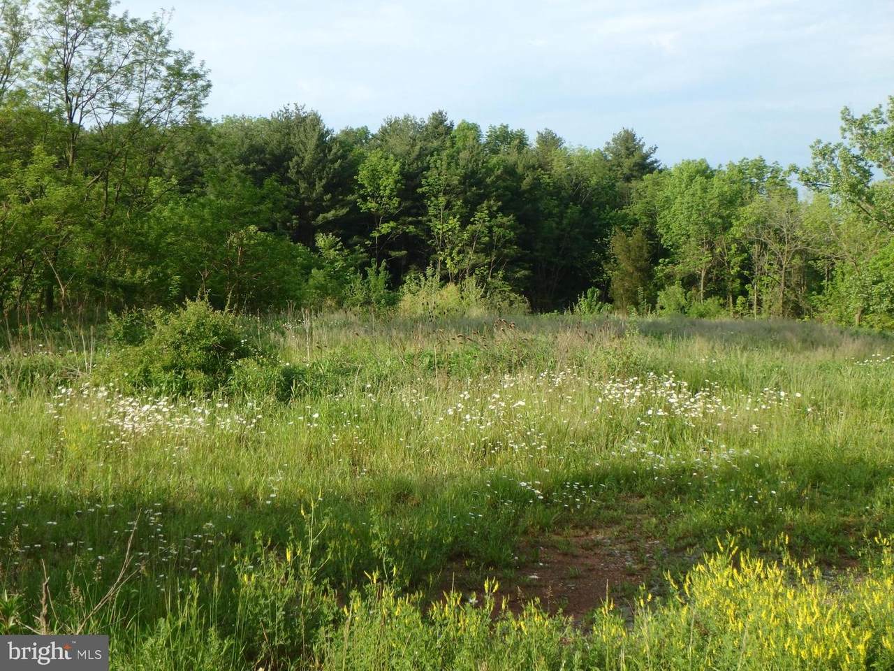 0-000 Perkiomen Avenue - Photo 1