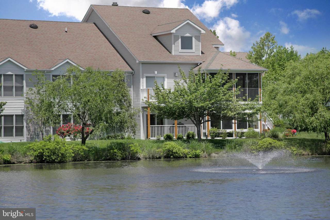 38944 Cypress Lake Circle - Photo 1