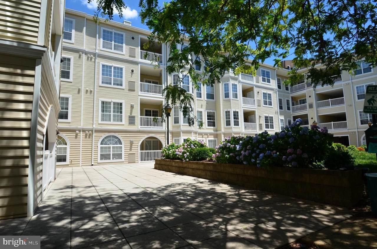 4551 Strutfield Lane - Photo 1