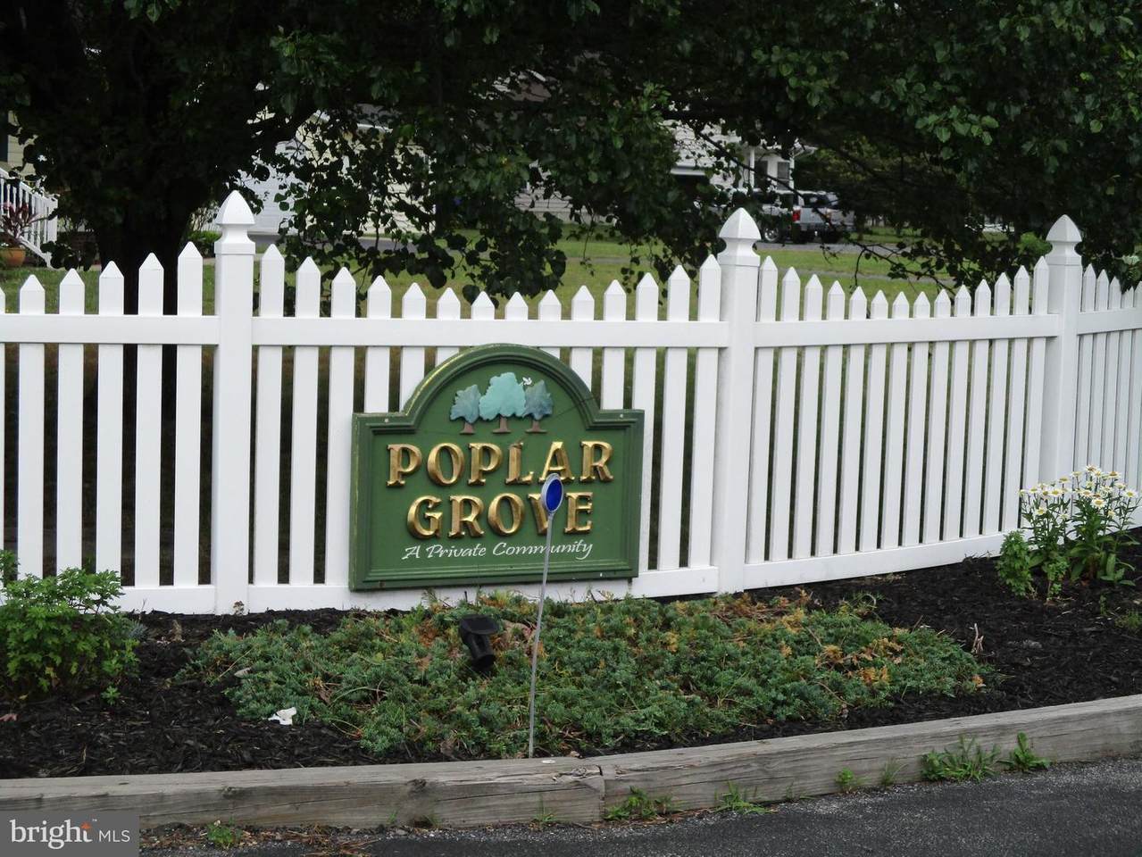 28923 Poplar Grove Drive - Photo 1