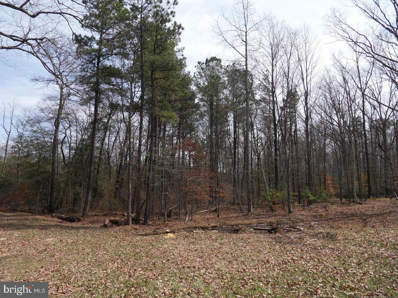 20776 Poplar Ridge Road - Photo 1