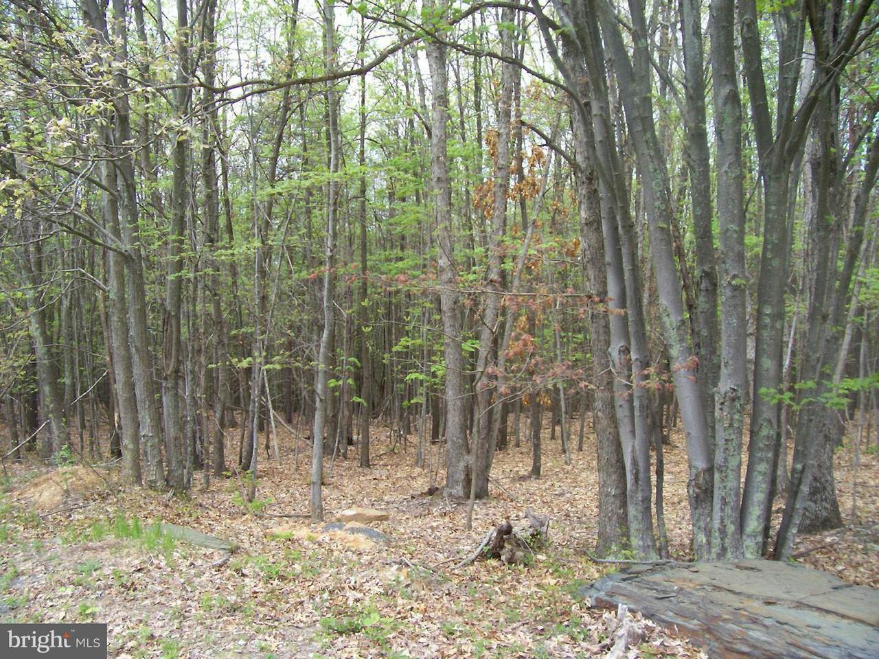 160 Ridgeview Drive - Photo 1