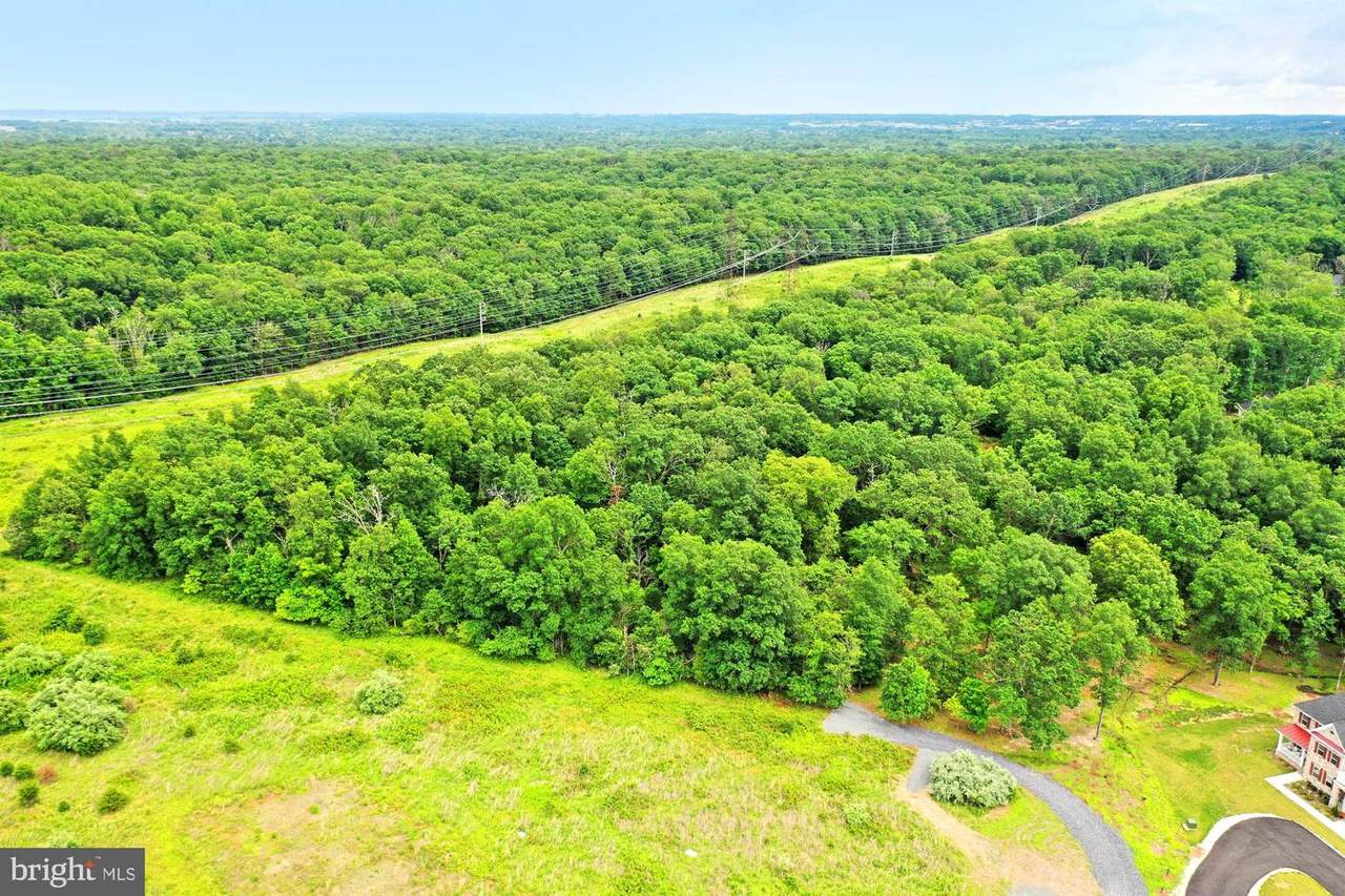 Lot 8 Foxmont Trail - Photo 1