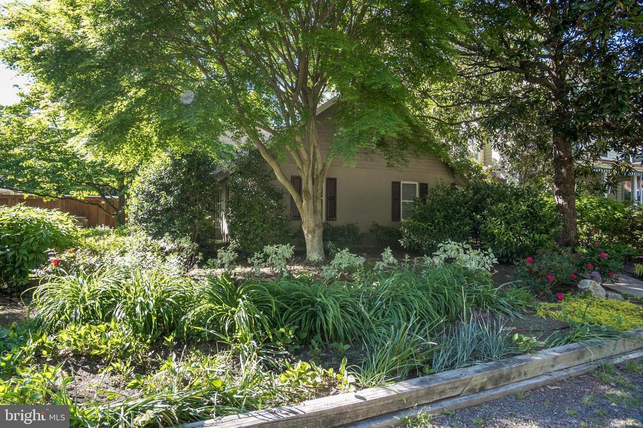 159 Henlopen Avenue - Photo 1