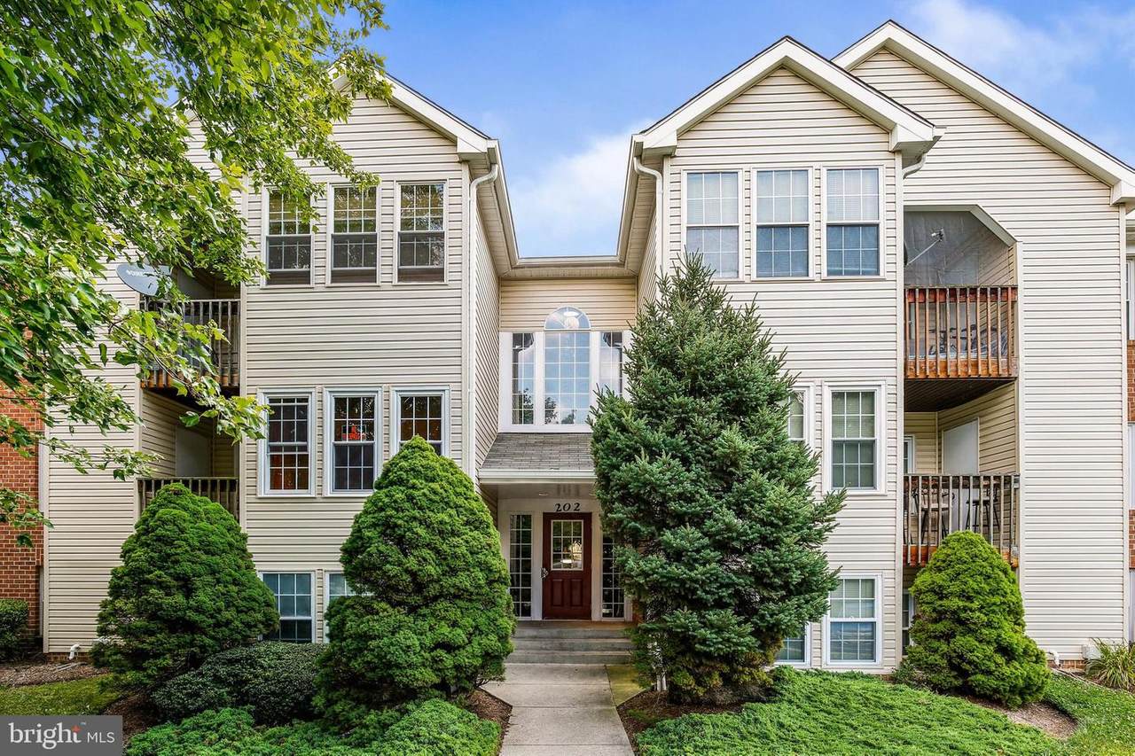 202 Juneberry Way - Photo 1