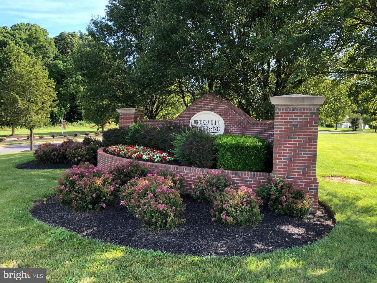 21400 Denit Estates Drive - Photo 1
