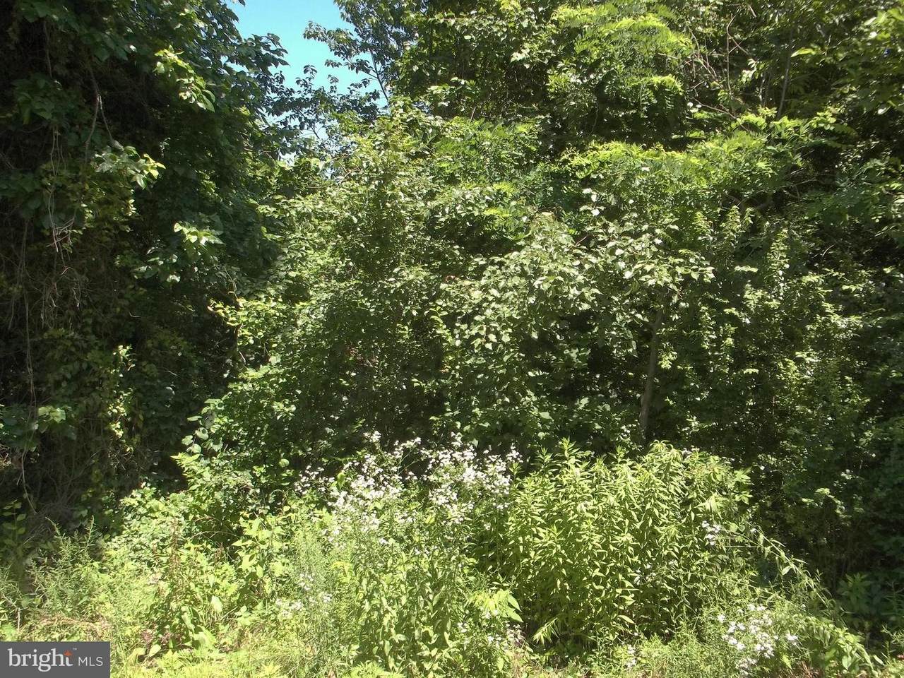 0 Longfellow - Photo 1