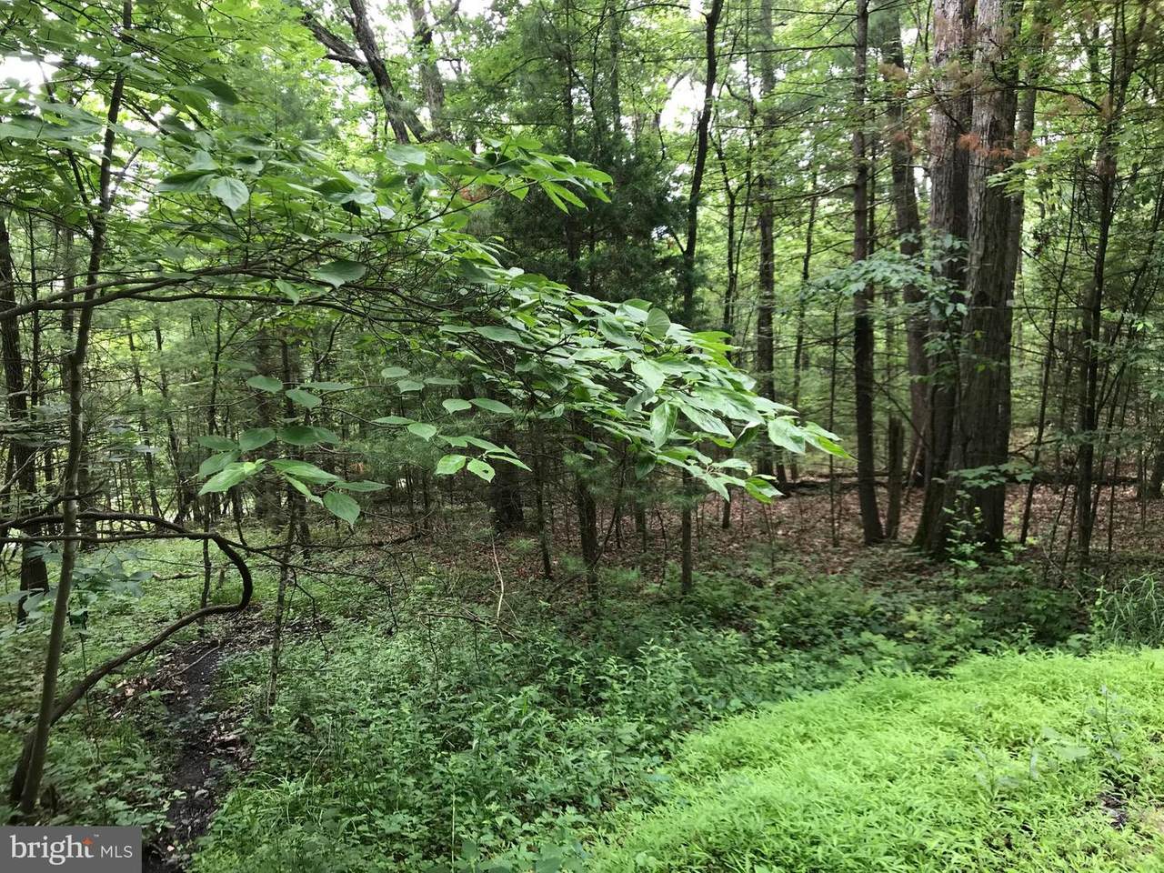 0 Beech - Photo 1