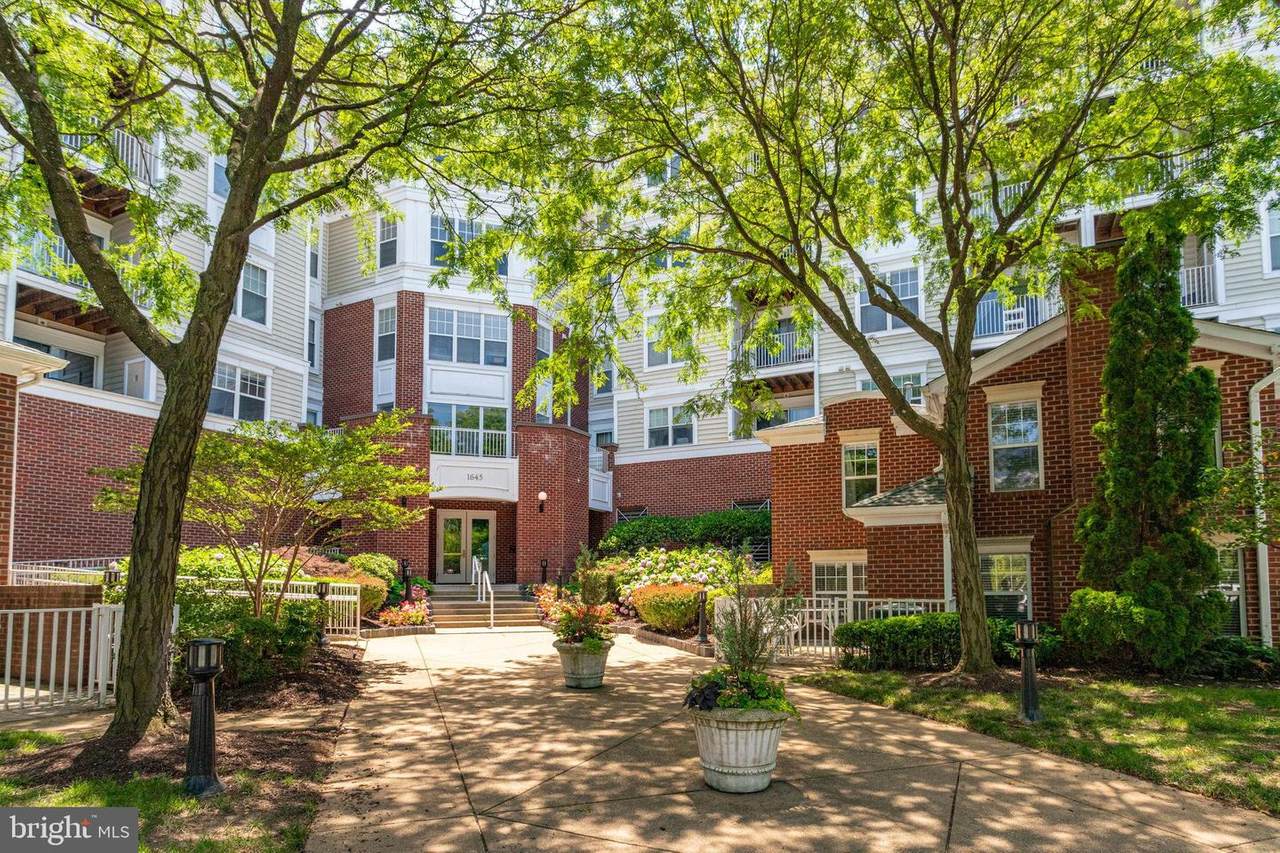 1645 International Drive - Photo 1