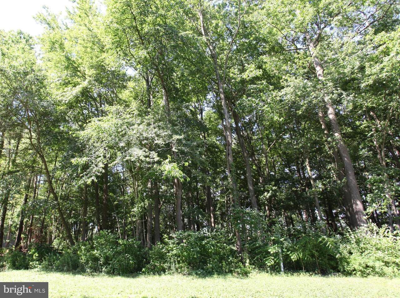 Lot 17 White Oaks Lane - Photo 1