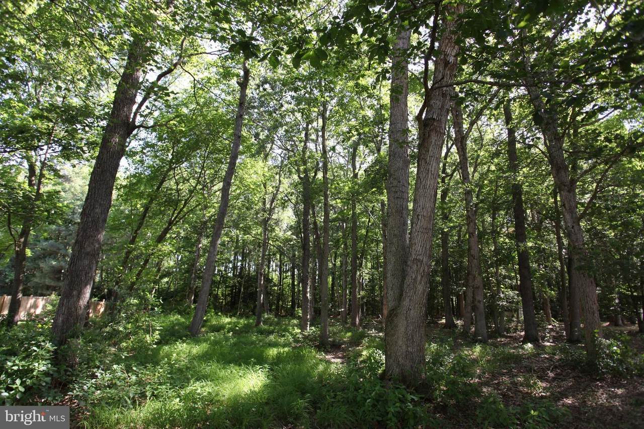 Lot 34 White Oak Lane - Photo 1