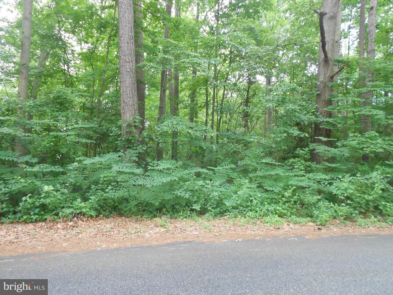 1 Woodland Drive - Photo 1