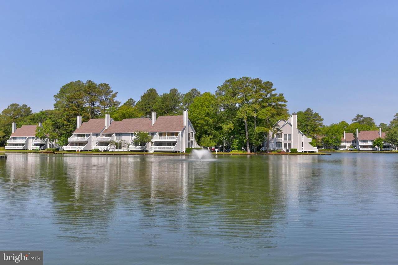 33557 Brighton Trail - Photo 1