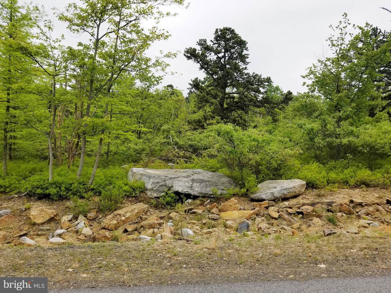 141 Buck Mountain - Photo 1