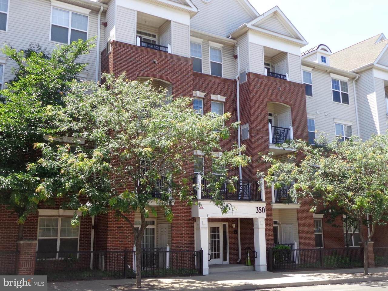 350 Elm Street - Photo 1