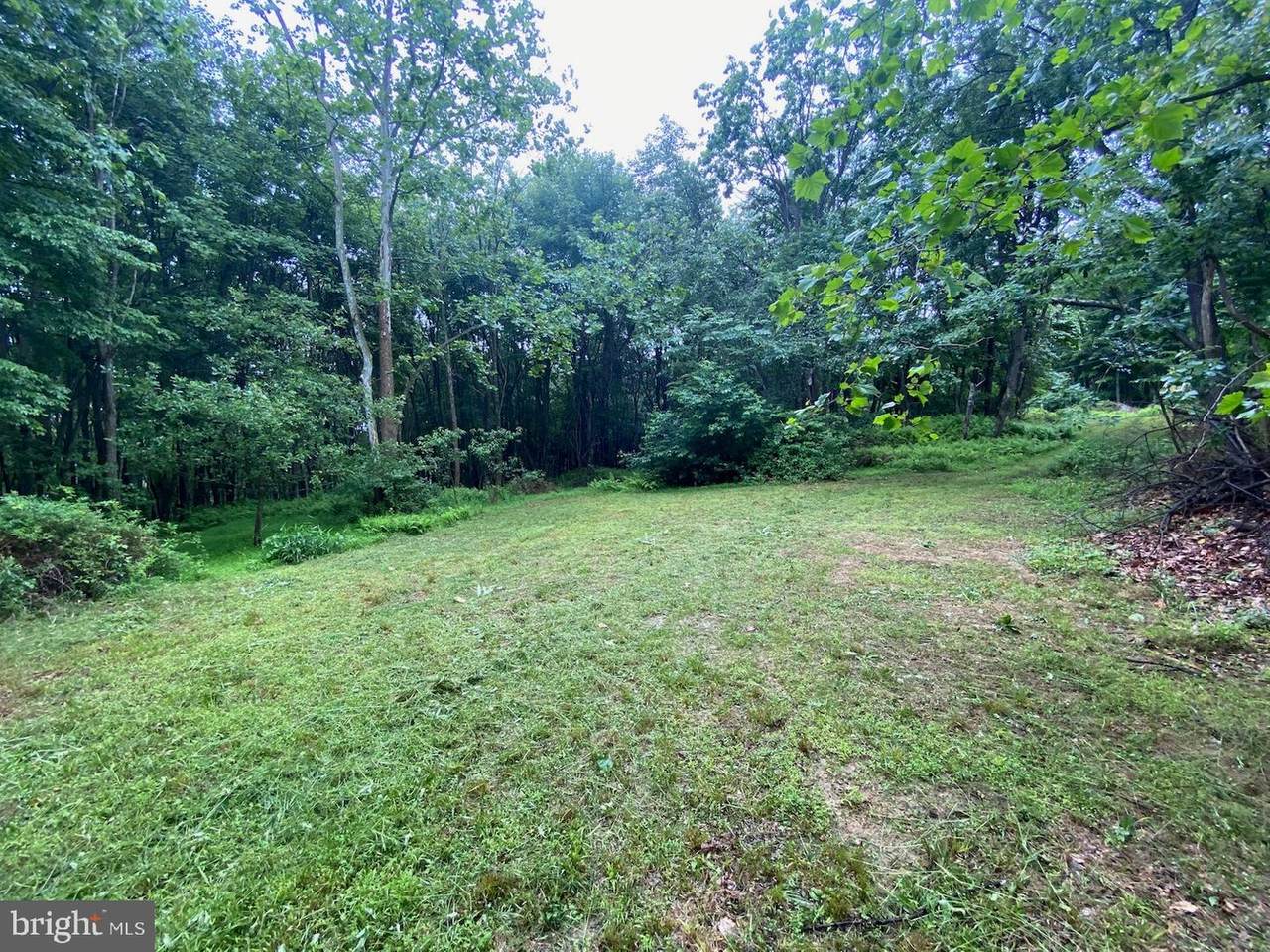 Off Cherry Run Road - Photo 1