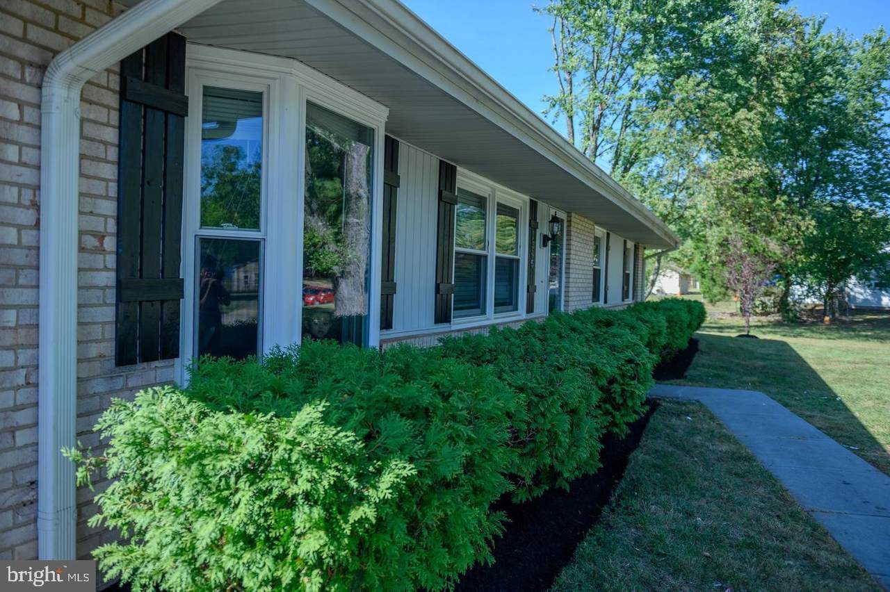 1305 Amelia Street - Photo 1