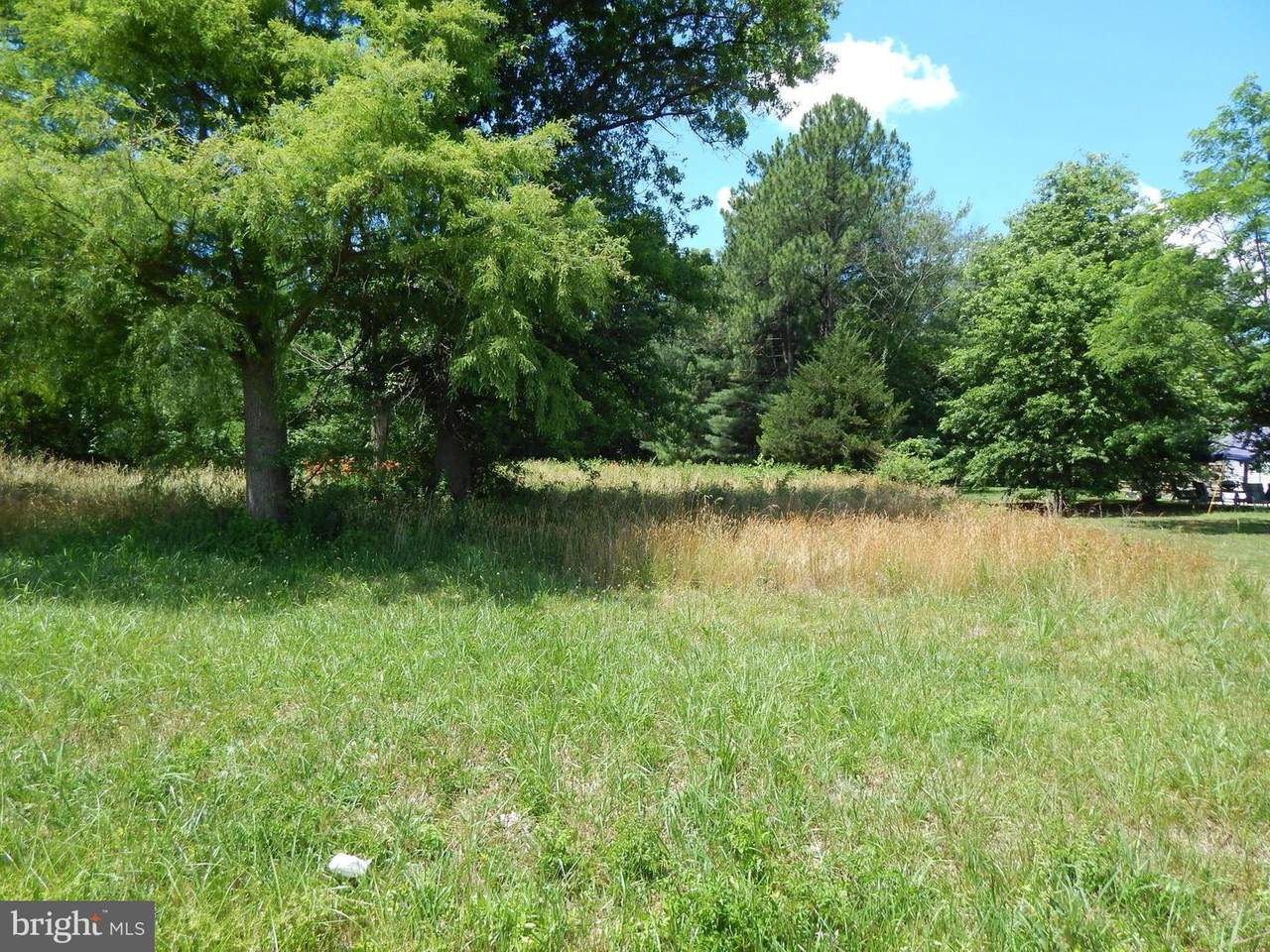 21368 Dupont Highway - Photo 1