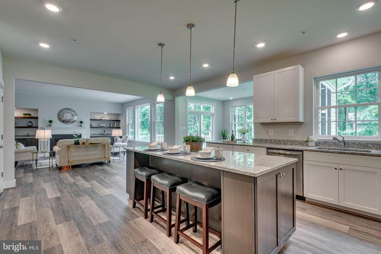 1417 Delaunay Lane - Photo 1