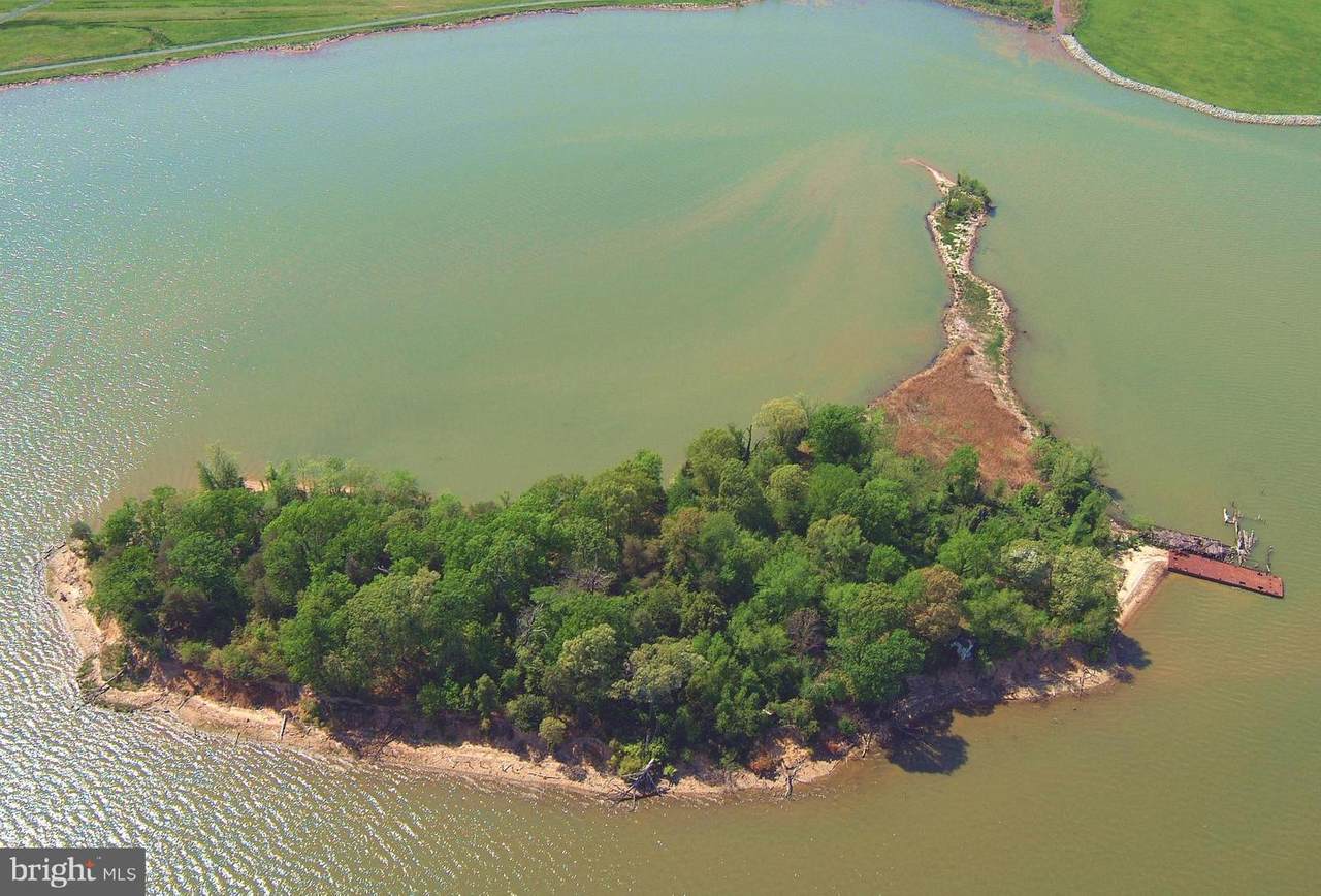 0 CHOPAWAMSIC ISLAND - Photo 1