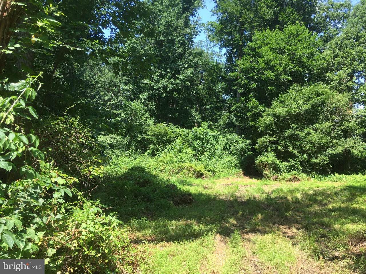 0 Little Conestoga Road - Photo 1
