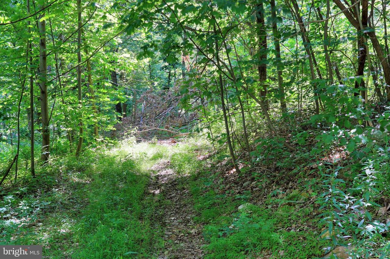0 Shickle Ln - Photo 1