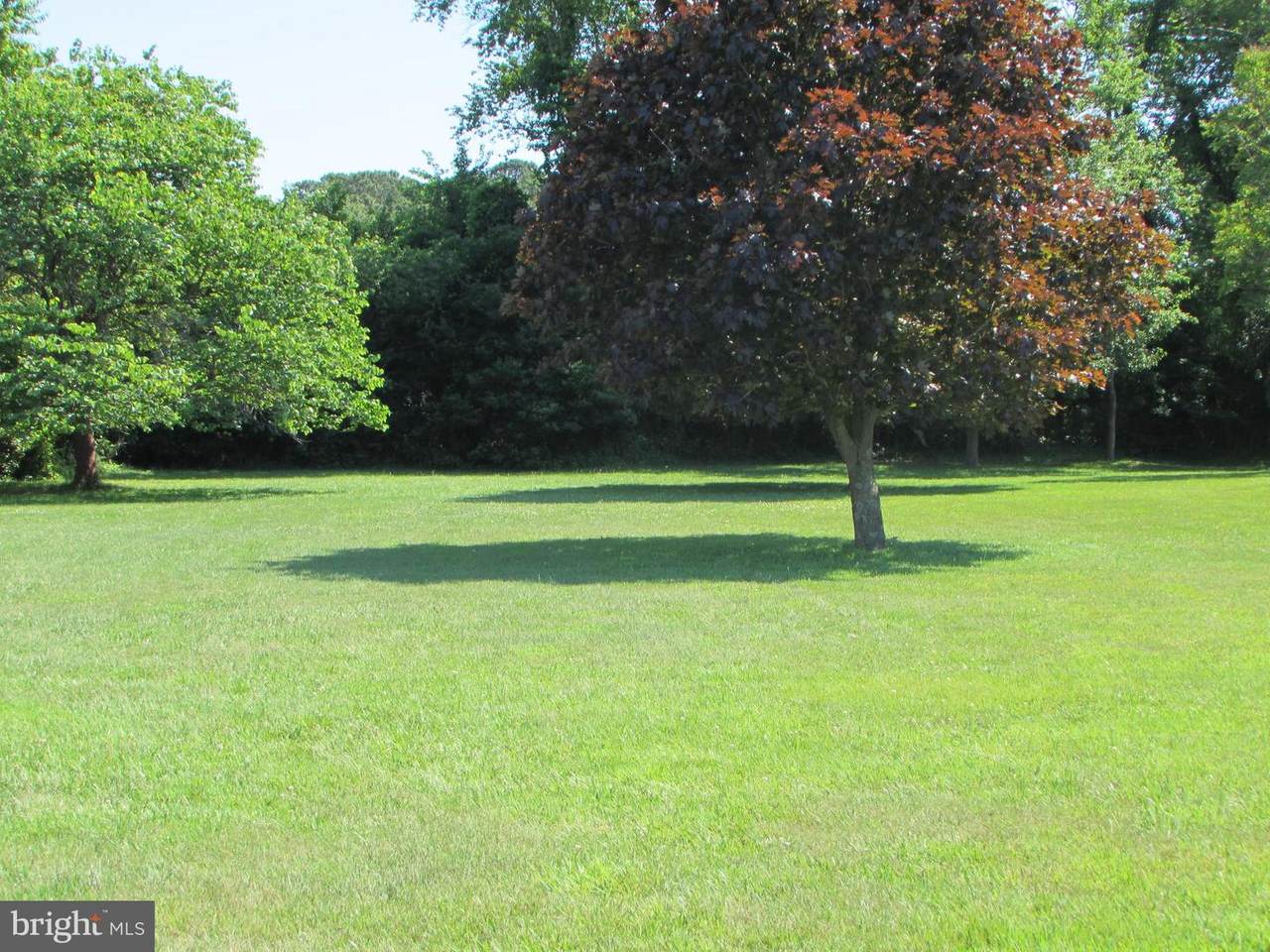 12120 Double Tree Lane - Photo 1